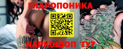 молекула духа Тверь