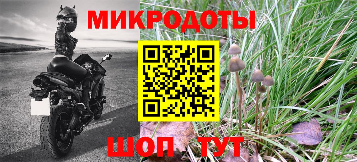 Псилоцибиновые грибы мицелий Набережные Челны